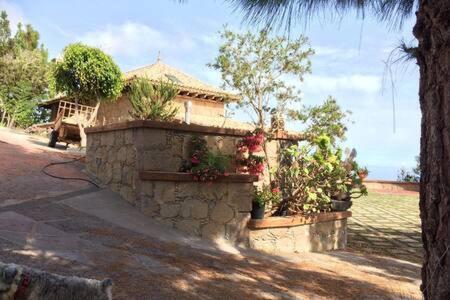 Villa Rural Faldas Del Teide Icod De Los Vinos Eksteriør billede