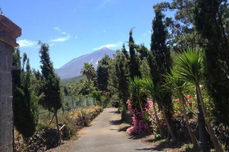 Villa Rural Faldas Del Teide Icod De Los Vinos Eksteriør billede