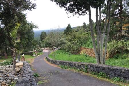 Villa Rural Faldas Del Teide Icod De Los Vinos Eksteriør billede