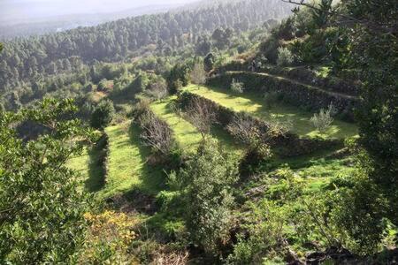 Villa Rural Faldas Del Teide Icod De Los Vinos Eksteriør billede