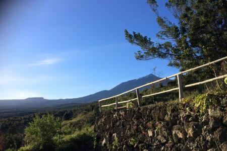 Villa Rural Faldas Del Teide Icod De Los Vinos Eksteriør billede