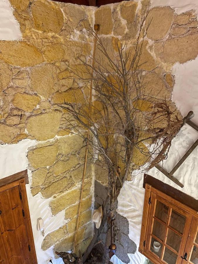 Villa Rural Faldas Del Teide Icod De Los Vinos Eksteriør billede